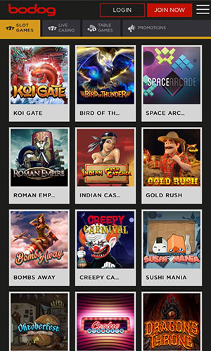 bodog india