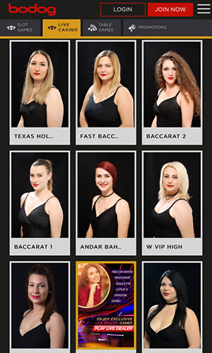 bodog live casino