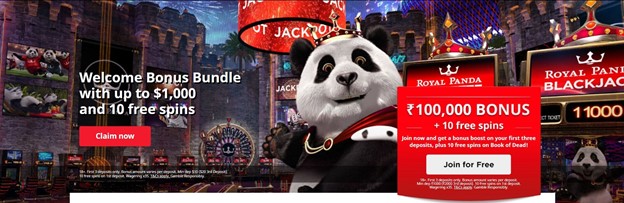 Screenshot of Royal Panda’s casino website, showing mascot of a panda. Text says “100,000 INR Bonus plus 10 free spins”