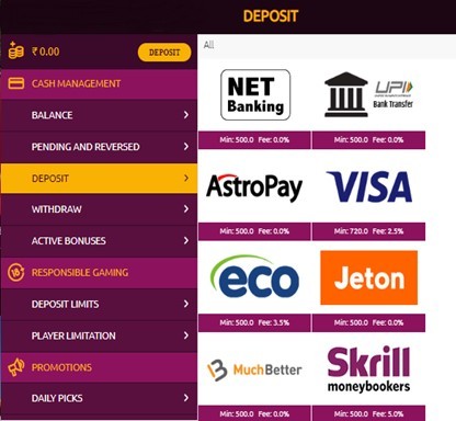 Screenshot showing the Deposit methods on Lucky Niki
