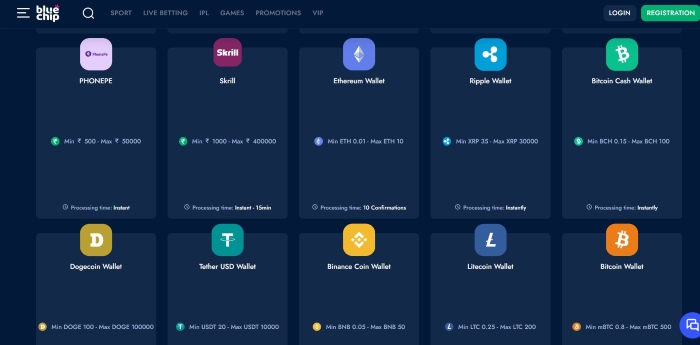 Screenshot of the payment methods accepted by BlueChip.io