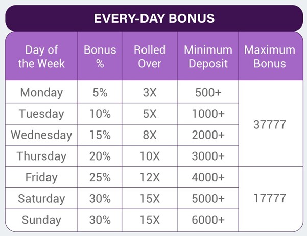 Screenshot explaining the Every-Day Bonus at N8 Casino