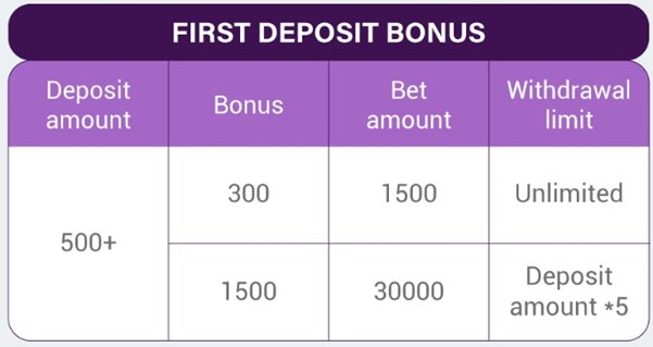 Screenshot explaining the First Deposit Bonus at N8 Casino