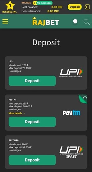 A screenshot of the deposit methods available on Rajbet