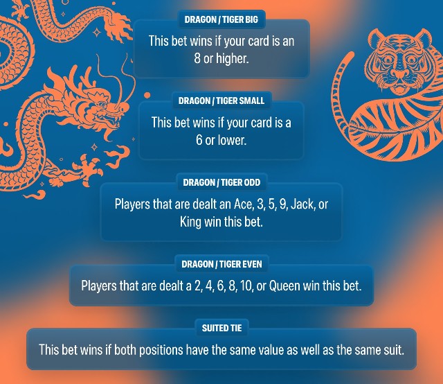 Infographic explaining the different bets you can place on Dragon Tiger.